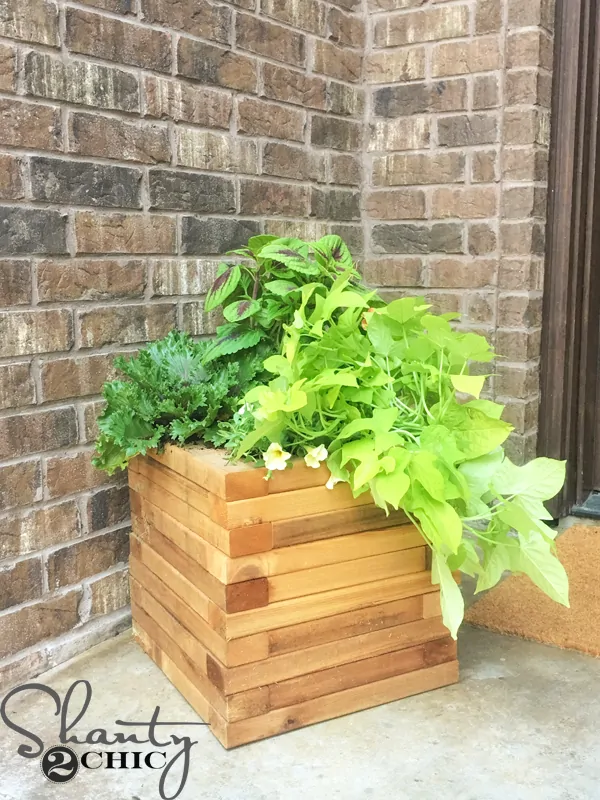 Cedar Planter