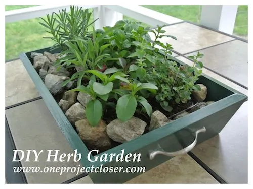 Drawer Planter Box