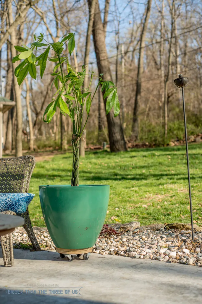 Plywood Plant Stand