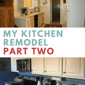 Kitchen Remodel Part Two